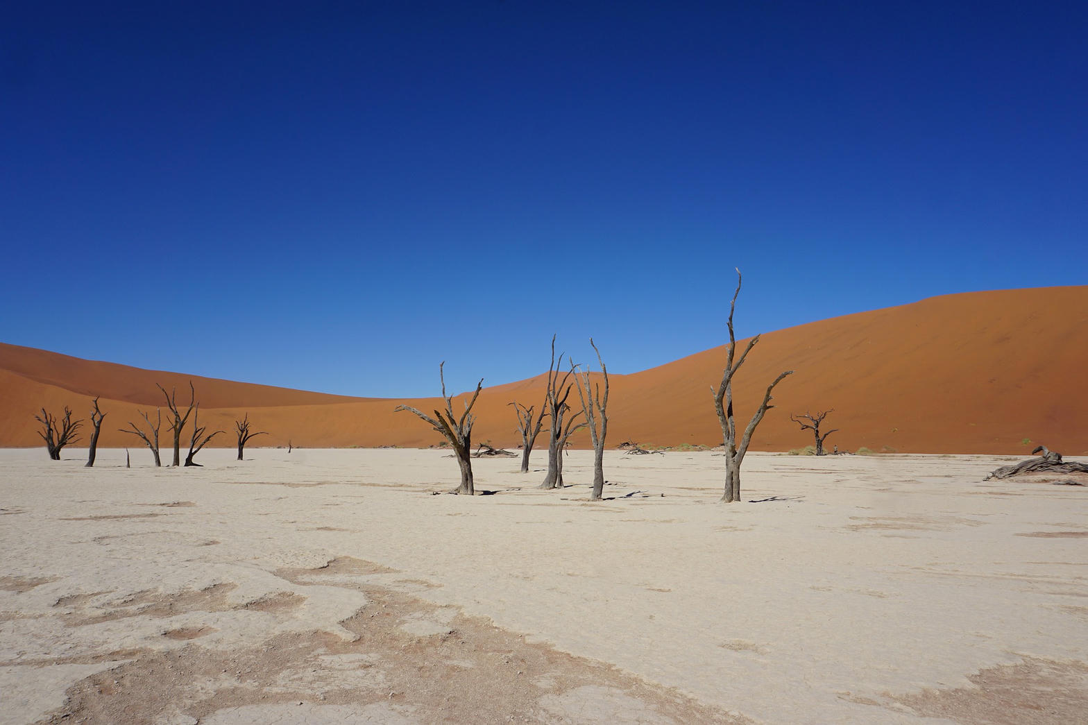 Waterberg