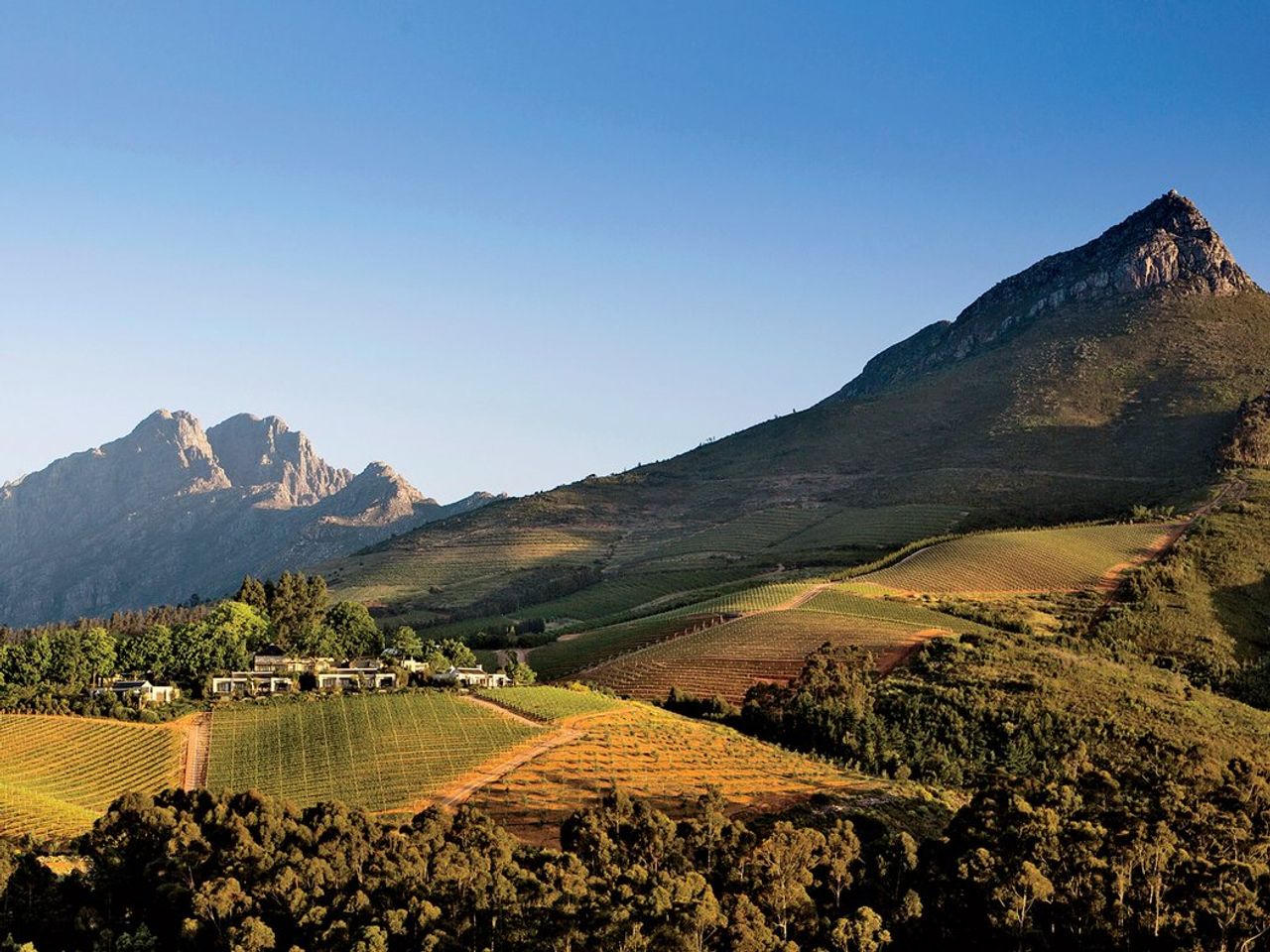 Cape Winelands